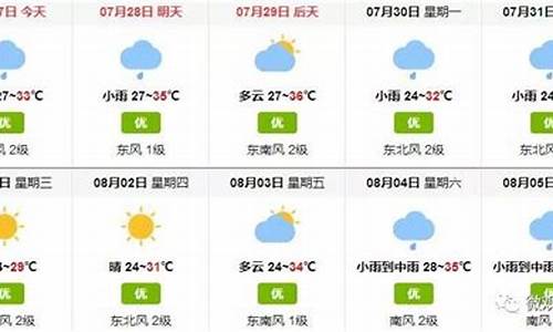 巢湖天气30天查询结果_巢湖天气30天